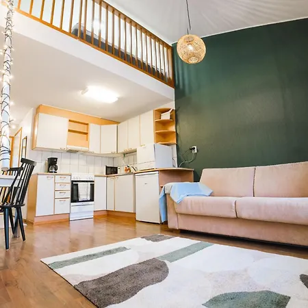 Ahkio 2 公寓 罗瓦涅米