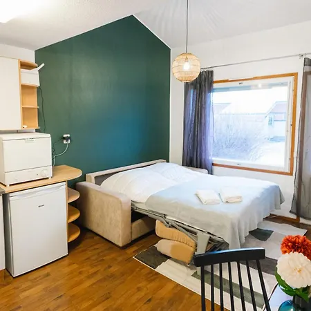 公寓 Ahkio 2 罗瓦涅米